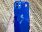 Apple iPhone 12 (Used)