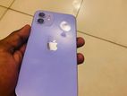 Apple iPhone 12 (Used)