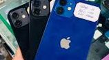 Apple iPhone 12 (Used)