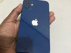 Apple iPhone 12 (Used)