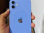Apple iPhone 12 (Used)