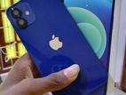 Apple iPhone 12 (Used)