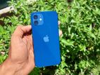 Apple iPhone 12 (Used)