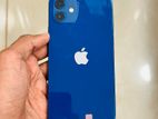 Apple iPhone 12 (Used)