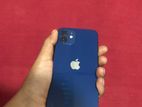 Apple iPhone 12 (Used)