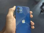 Apple iPhone 12 (Used)