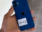 Apple iPhone 12 (Used)