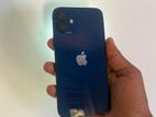 Apple iPhone 12 (Used)