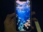 Apple iPhone 12 (Used)