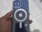 Apple iPhone 12 (Used)