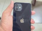 Apple iPhone 12 (Used)