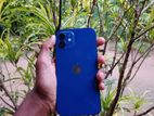 Apple iPhone 12 (Used)