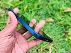 Apple iPhone 12 (Used)