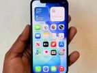 Apple iPhone 12 (Used)