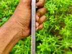 Apple iPhone 13 128GB (Used)
