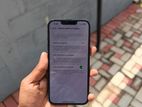 Apple iPhone 13 (Used)