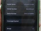 Apple iPhone 13 mini (Used)