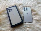 Apple iPhone 13 Pro 1TB (Used)