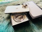 Apple iPhone 13 Pro 256GB (Used)