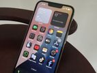 Apple iPhone 13 Pro 256GB (Used)