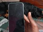 Apple iPhone 13 Pro Max 2023 (Used)