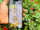 Apple iPhone 13 Pro Max 256GB (Used)