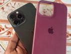 Apple iPhone 13 Pro Max 256GB (Used)