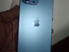 Apple iPhone 13 Pro Max 256GB (Used)