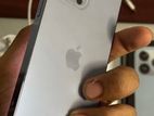 Apple iPhone 13 Pro Max 256GB (Used)