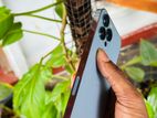 Apple iPhone 13 Pro Max 256GB (Used)