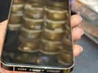 Apple iPhone 13 Pro Max (Used)
