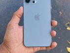 Apple iPhone 13 Pro Max (Used)