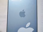 Apple iPhone 13 Pro Max (Used)