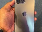 Apple iPhone 13 Pro Max (Used)