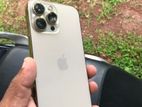 Apple iPhone 13 Pro Max (Used)