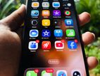 Apple iPhone 13 Pro Max (Used)