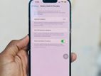 Apple iPhone 13 Pro Max (Used)