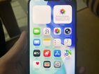Apple iPhone 13 Pro Max (Used)