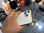 Apple iPhone 13 Pro Max (Used)