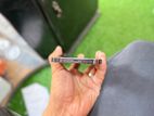 Apple iPhone 13 Pro Max (Used)