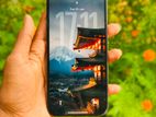 Apple iPhone 13 Pro Max (Used)