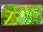Apple iPhone 13 Pro Max (Used)