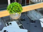 Apple iPhone 13 Pro (Used)