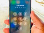Apple iPhone 13 (Used)