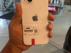 Apple iPhone 13 (Used)