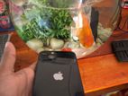 Apple iPhone 13 (Used)