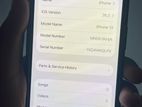 Apple iPhone 13 (Used)