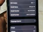 Apple iPhone 13 (Used)
