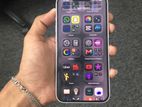 Apple iPhone 13 (Used)
