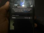 Apple iPhone 13 (Used)